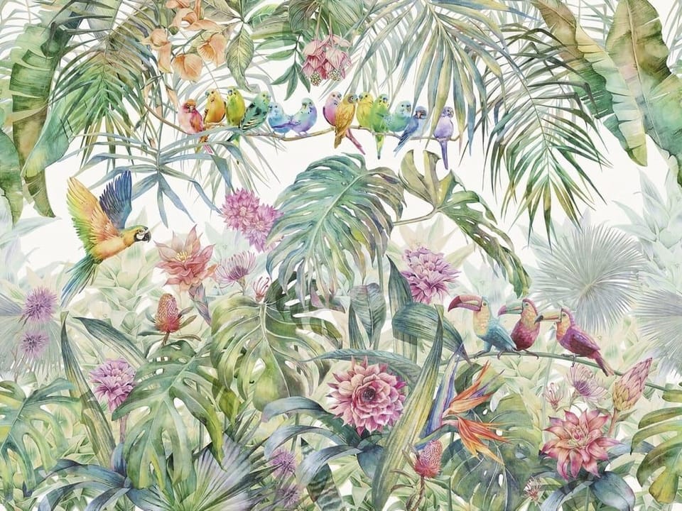 Fototapeta Kolorowe ptaki w tropikalnej dżungli