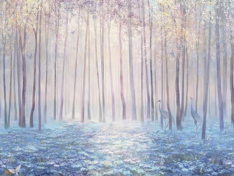 Fototapeta Las z wysokimi drzewami w mgle