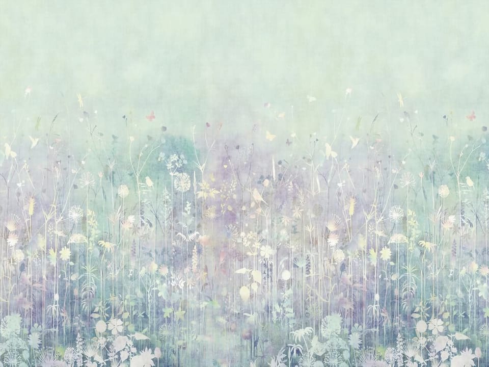 Fototapeta Delikatne kwiaty na łące