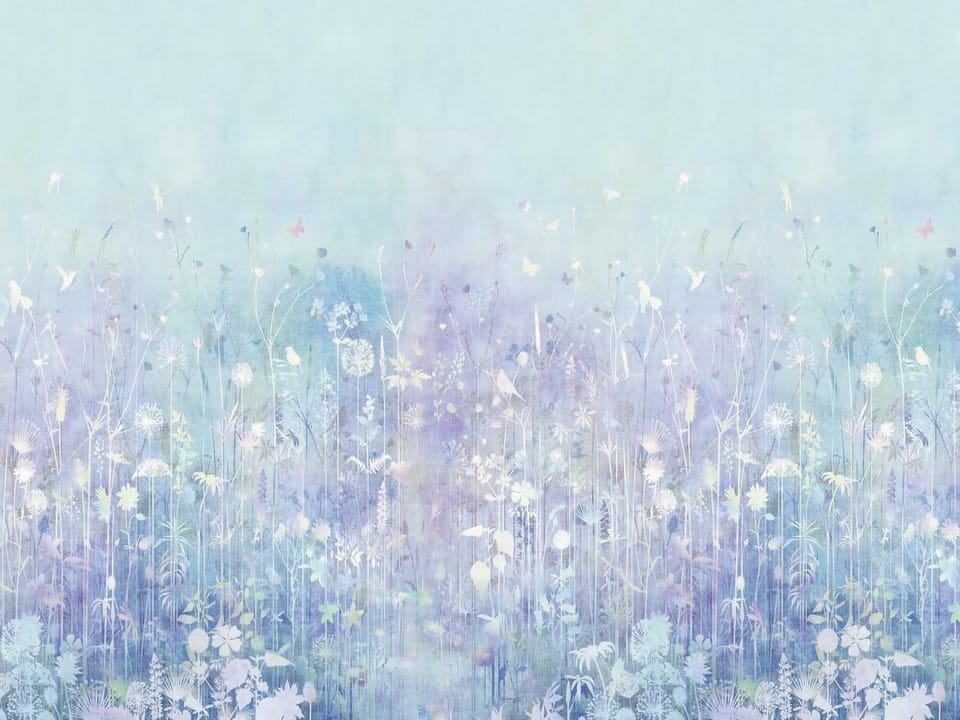 Fototapeta Delikatne kwiaty na łące