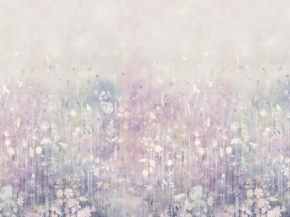 Fototapeta Delikatne kwiaty polne