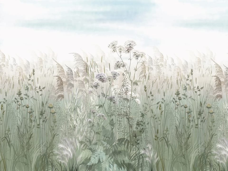 Fototapeta Pole traw i dzikich kwiatów