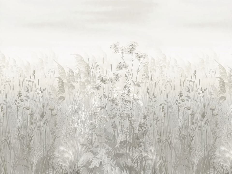 Fototapeta Łąka pełna delikatnych kwiatów