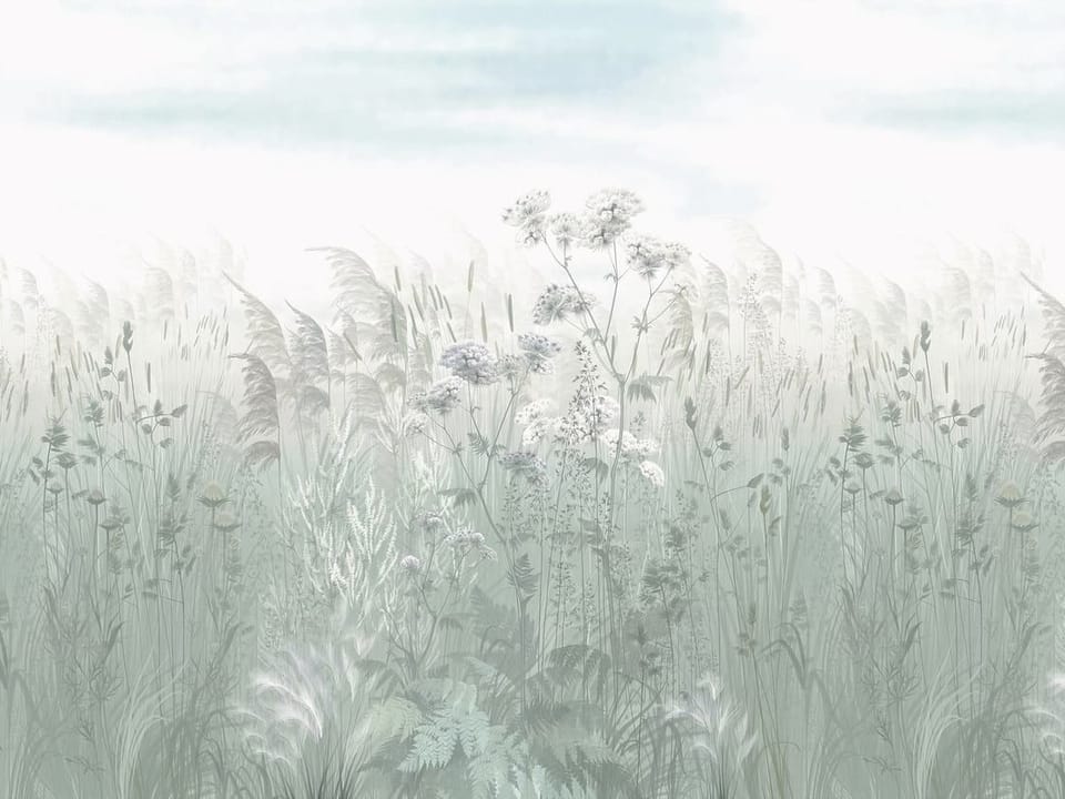 Fototapeta Polne kwiaty i trawy