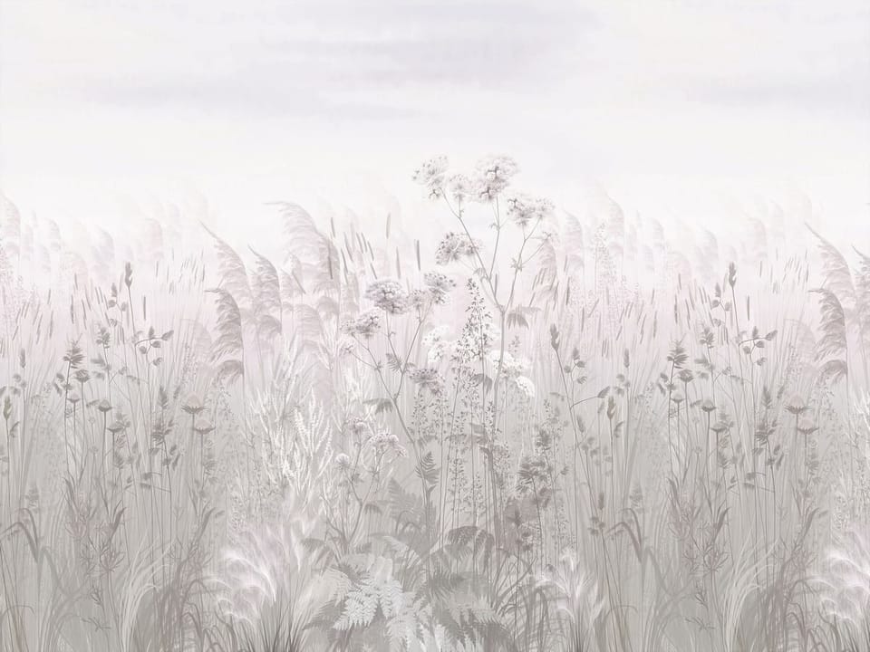 Fototapeta Kwiaty polne i trawy