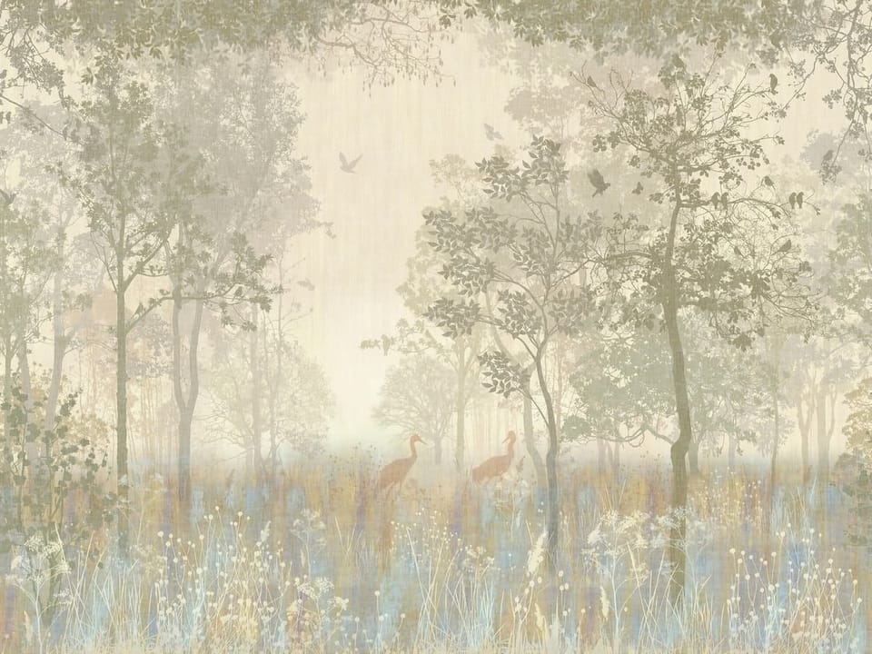 Fototapeta Drzewa w Mglistym Lesie