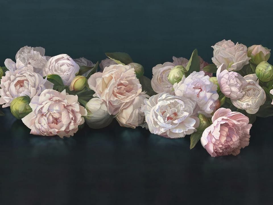 Fototapeta Bukiet piwonii na ciemnym tle