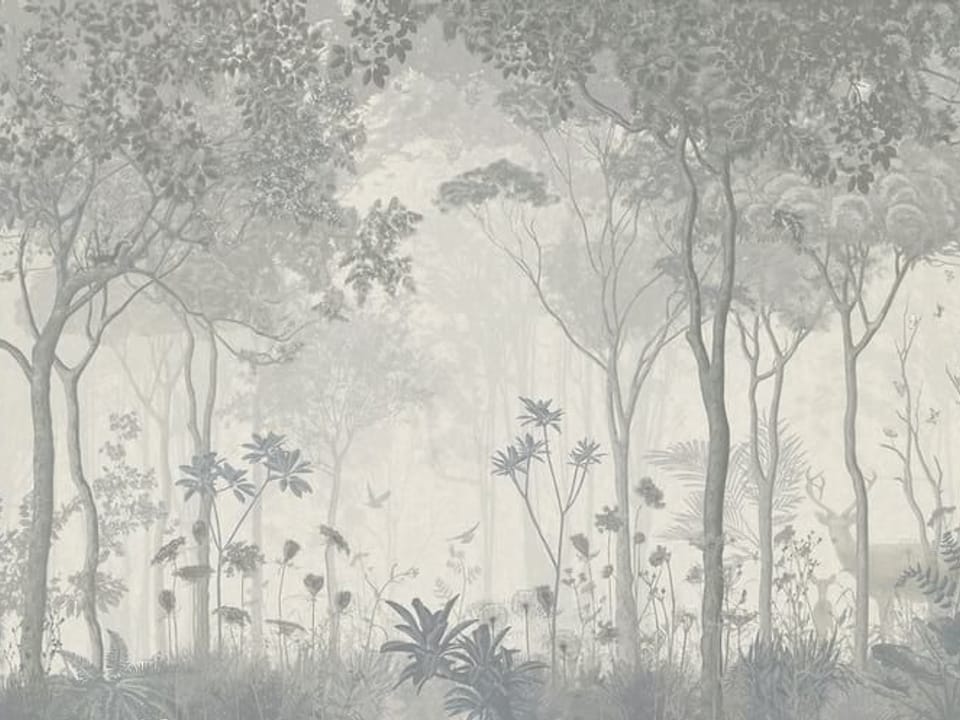 Fototapeta Gęsty las z wysokimi drzewami