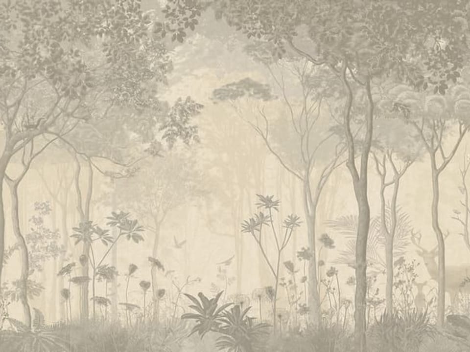 Fototapeta Gęsty Las z Wysokimi Drzewami