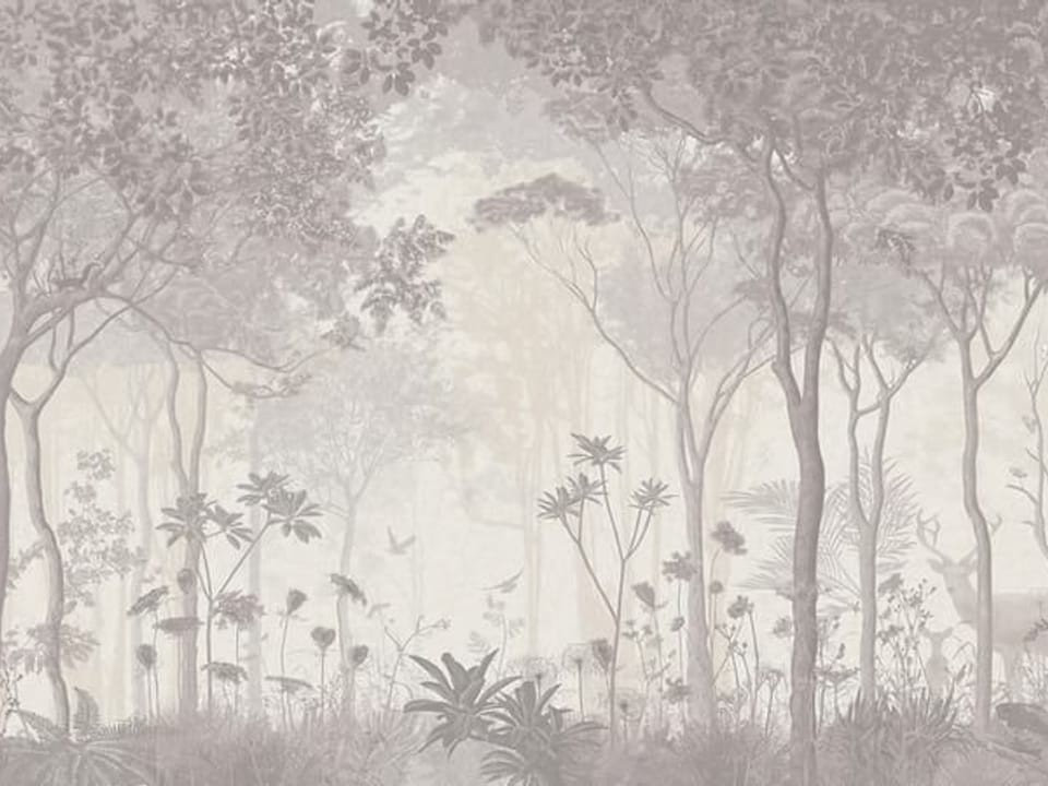 Fototapeta Gęsty las z wysokimi drzewami