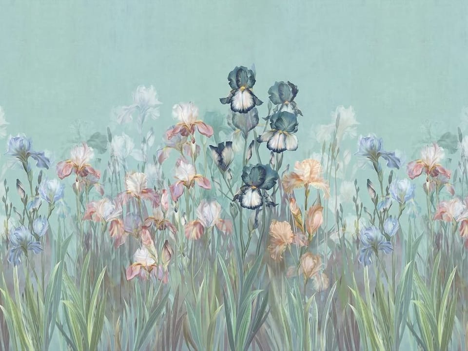 Fototapeta Kwiaty irysów na tle nieba