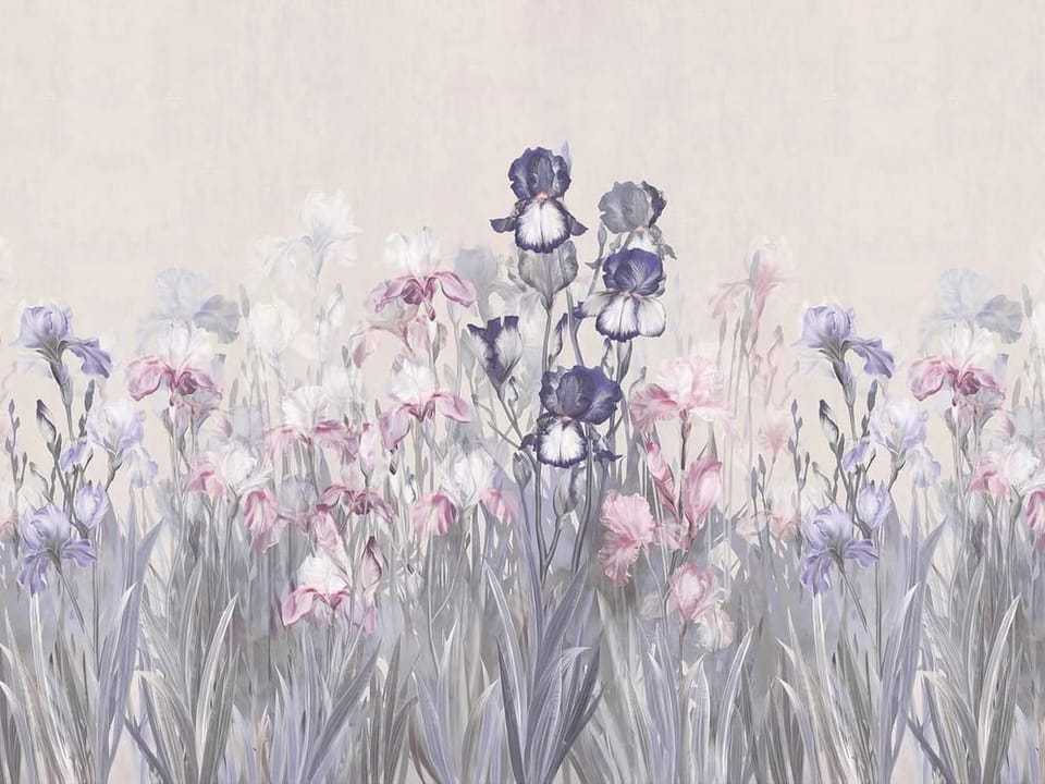 Fototapeta Kolorowe irysy na jasnym tle