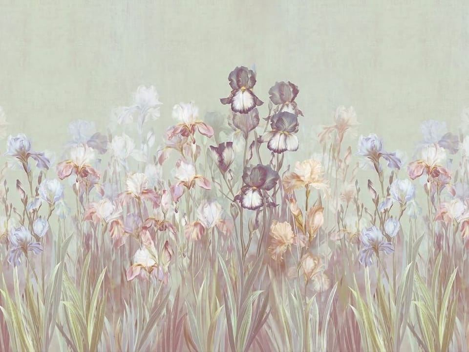 Fototapeta Kwiaty irysów na łące