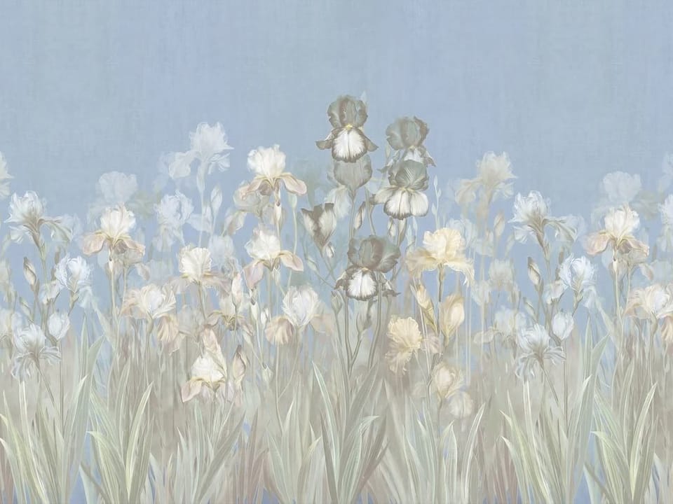 Fototapeta Pole irysów na tle nieba