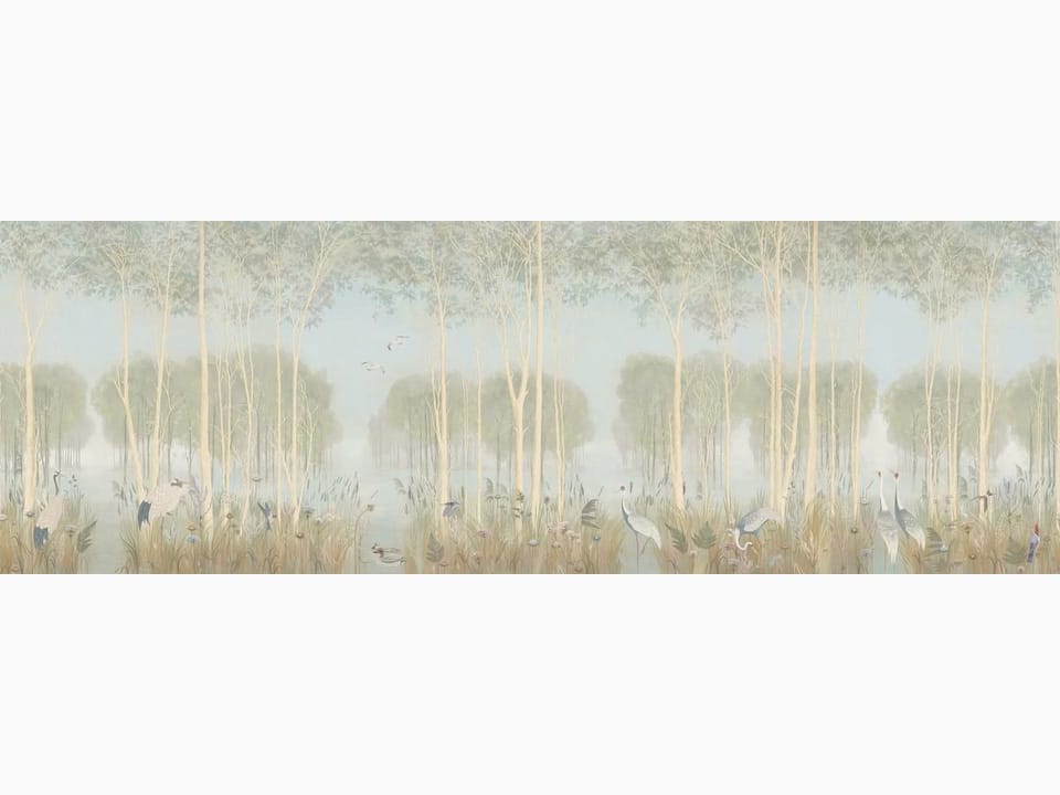 Fototapeta Las z Wysokimi Drzewami i Mgłą