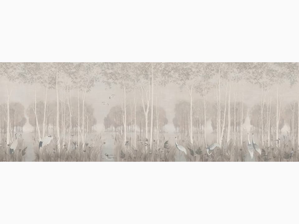 Fototapeta Las z wysokimi drzewami i mgłą