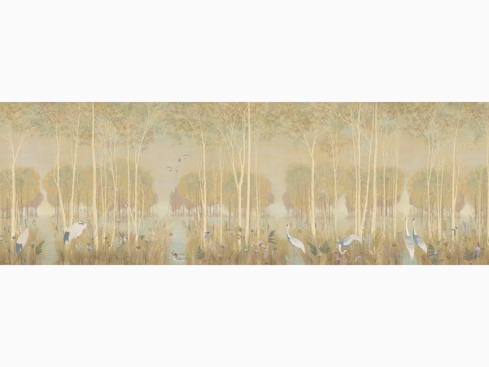 Fototapeta Las z wysokimi drzewami i jeziorem