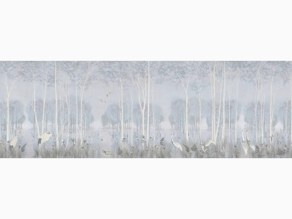 Fototapeta Las z wysokimi drzewami