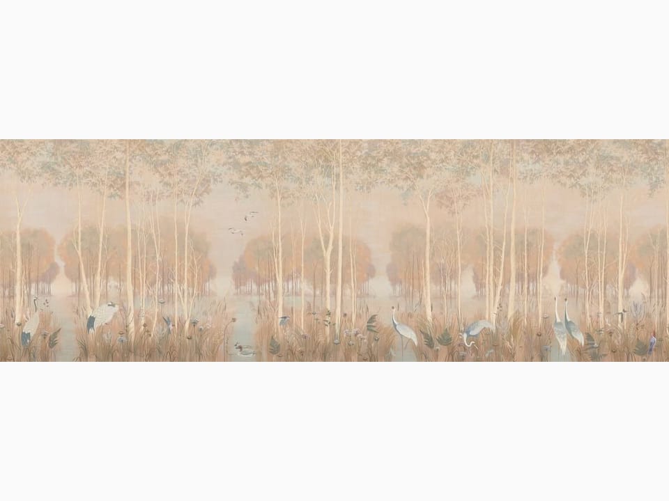 Fototapeta Las z wysokimi drzewami i trzcinami