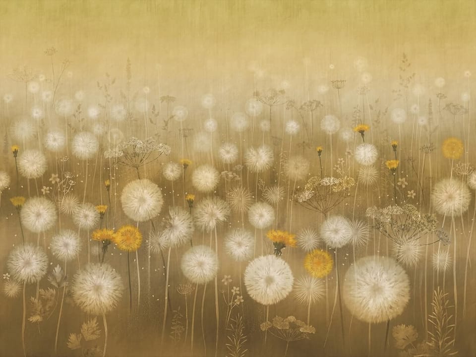 Fototapeta Dmuchawce na łące z żółtymi kwiatami