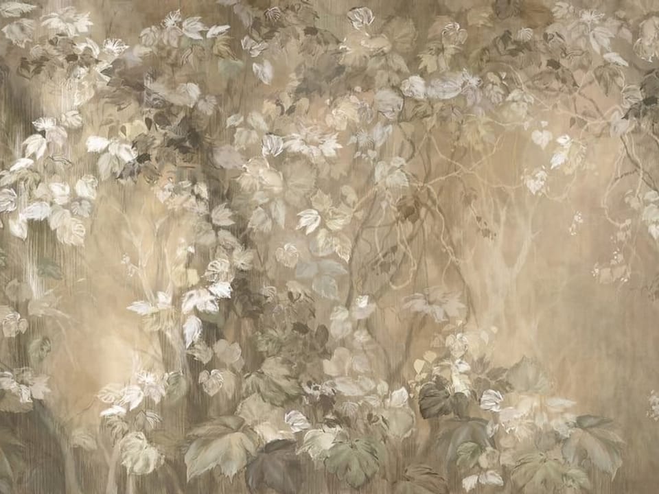 Fototapeta Pnącza z liśćmi na tle