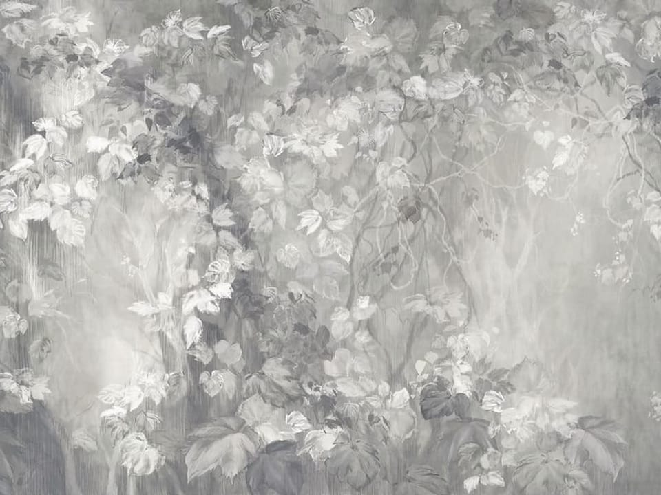 Fototapeta Gęste liście i pnącza w szarości