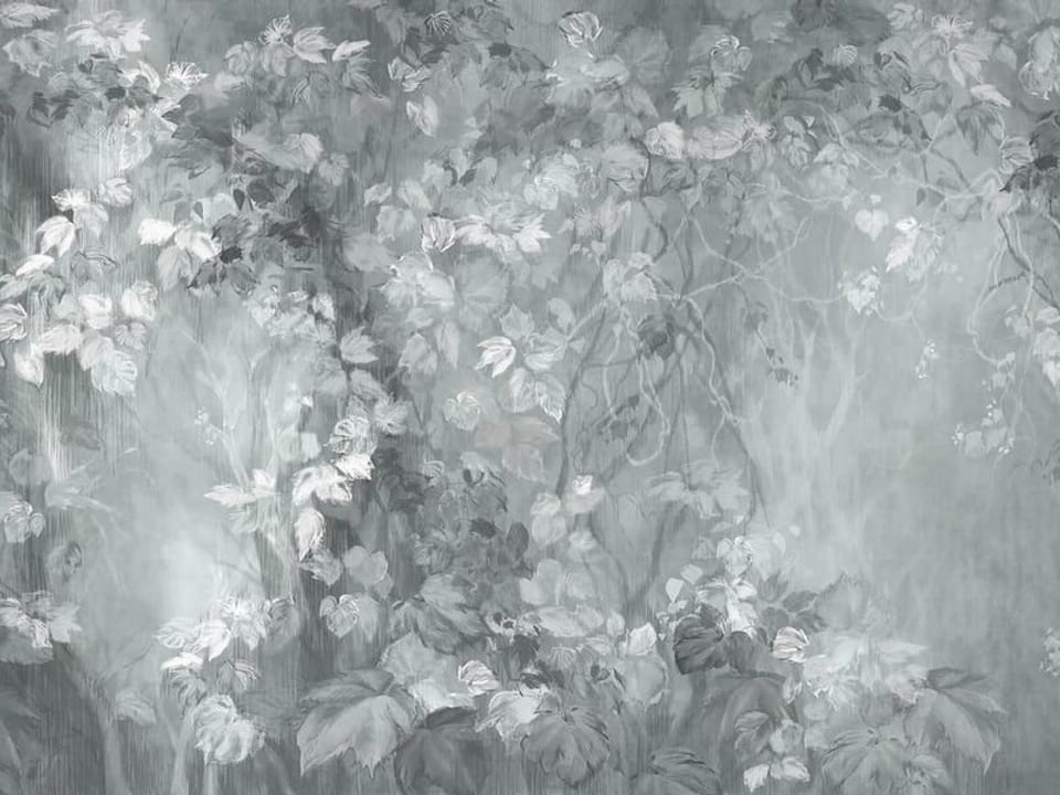 Fototapeta Liście i pnącza w delikatnym świetle