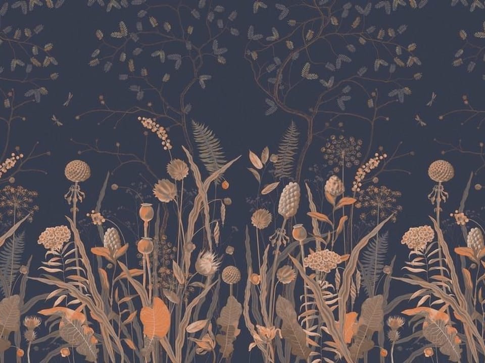 Fototapeta Kwiaty polne na ciemnym tle