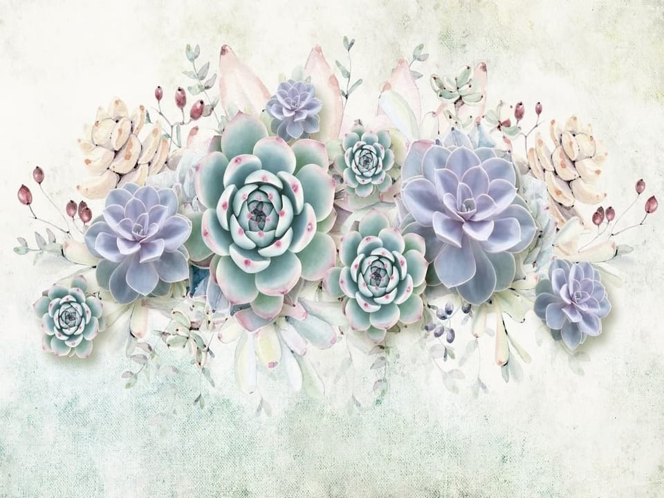 Fototapeta Sukulenty i liście w pastelach
