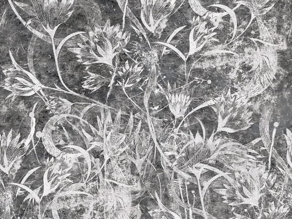 Fototapeta Białe Kwiaty na Szarym Tle