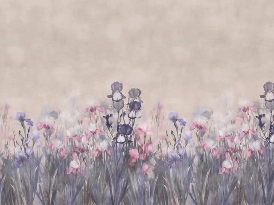 Fototapeta Pastelowe kwiaty polne