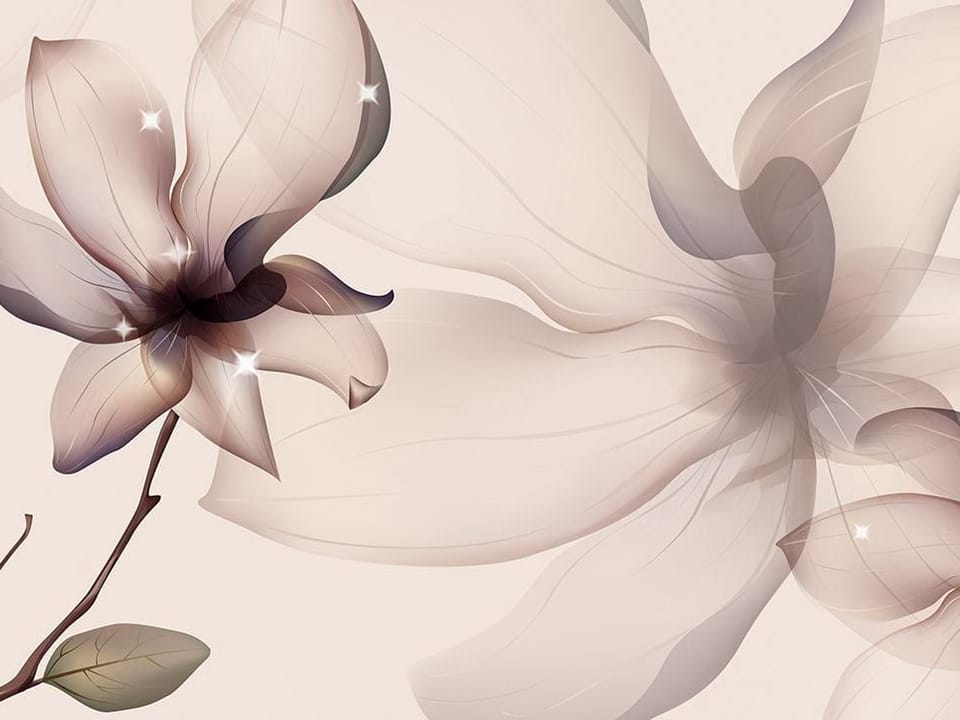 Fototapeta Magnolie na gałęzi z liśćmi na wymiar