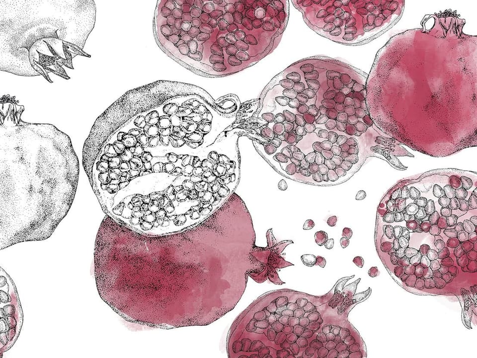 Fototapeta Granaty na białym tle