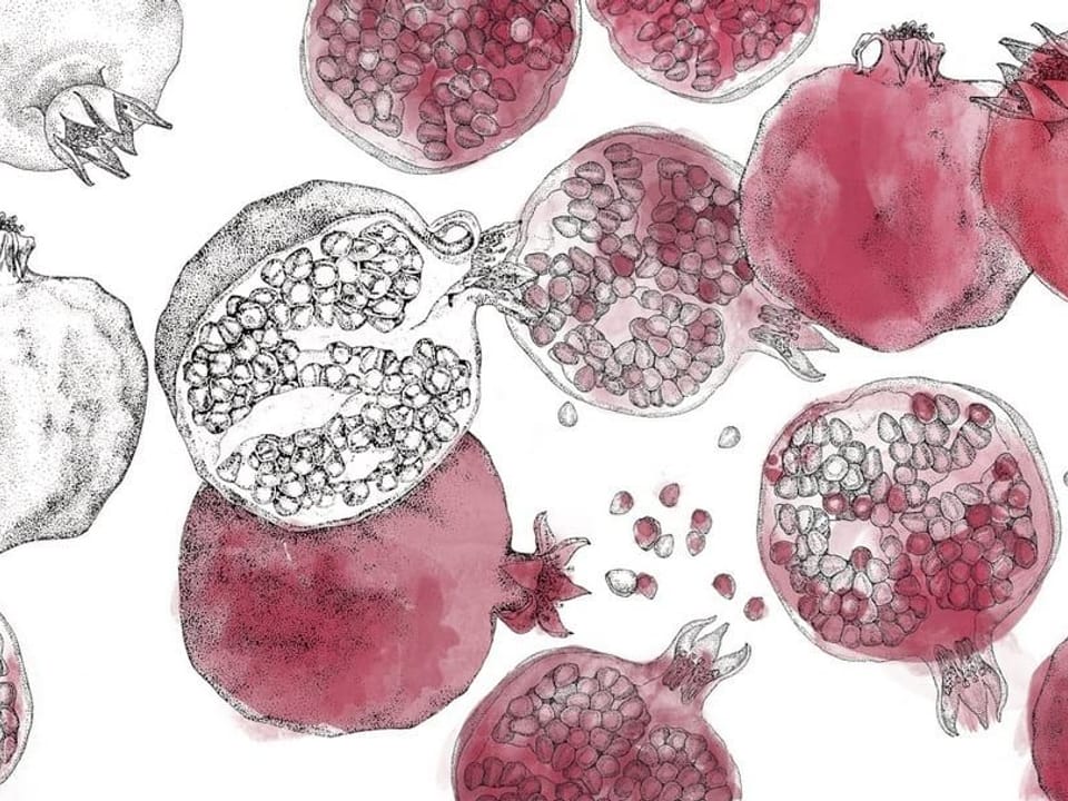 Fototapeta Granaty na białym tle