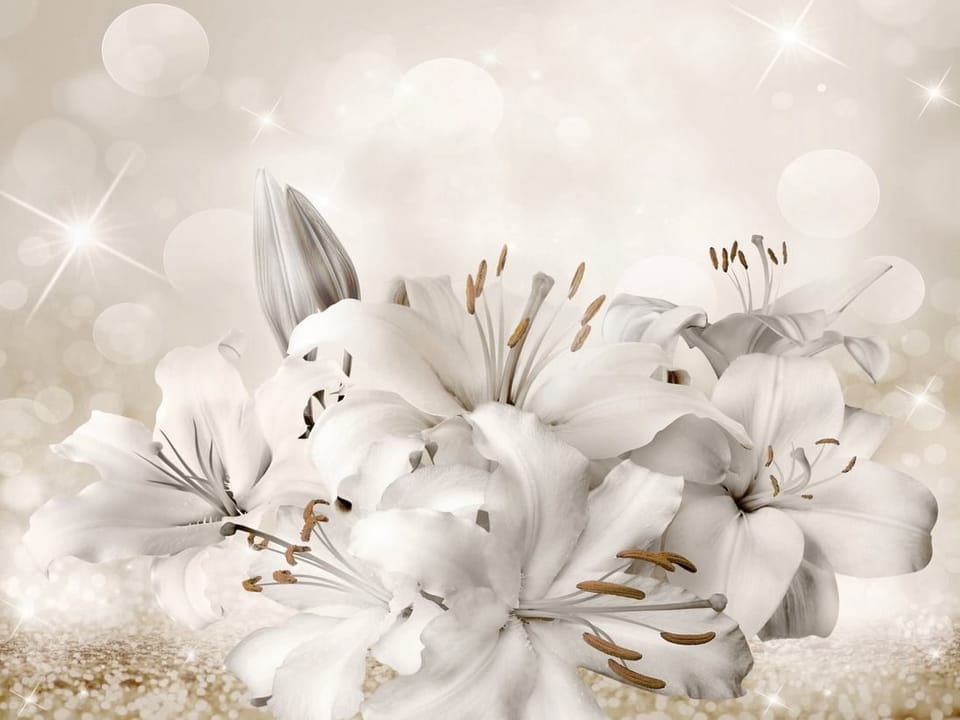 Fototapeta Bukiet białych lilii z bokeh