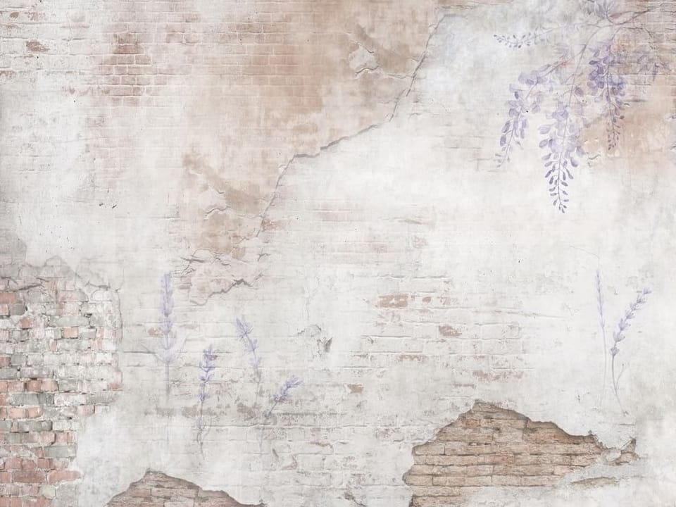 Fototapeta Ceglana ściana z rysunkami roślin