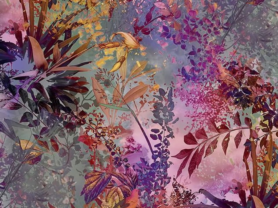 Fototapeta Kolorowe liście i kwiaty