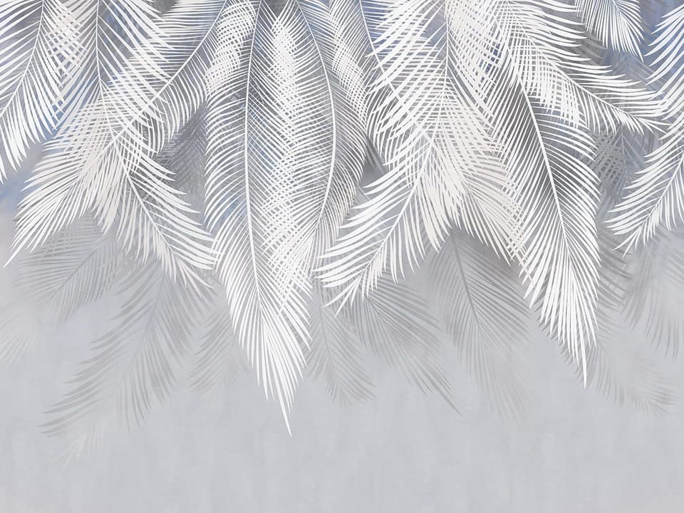 Fototapeta Białe liście palmowe na szarym tle
