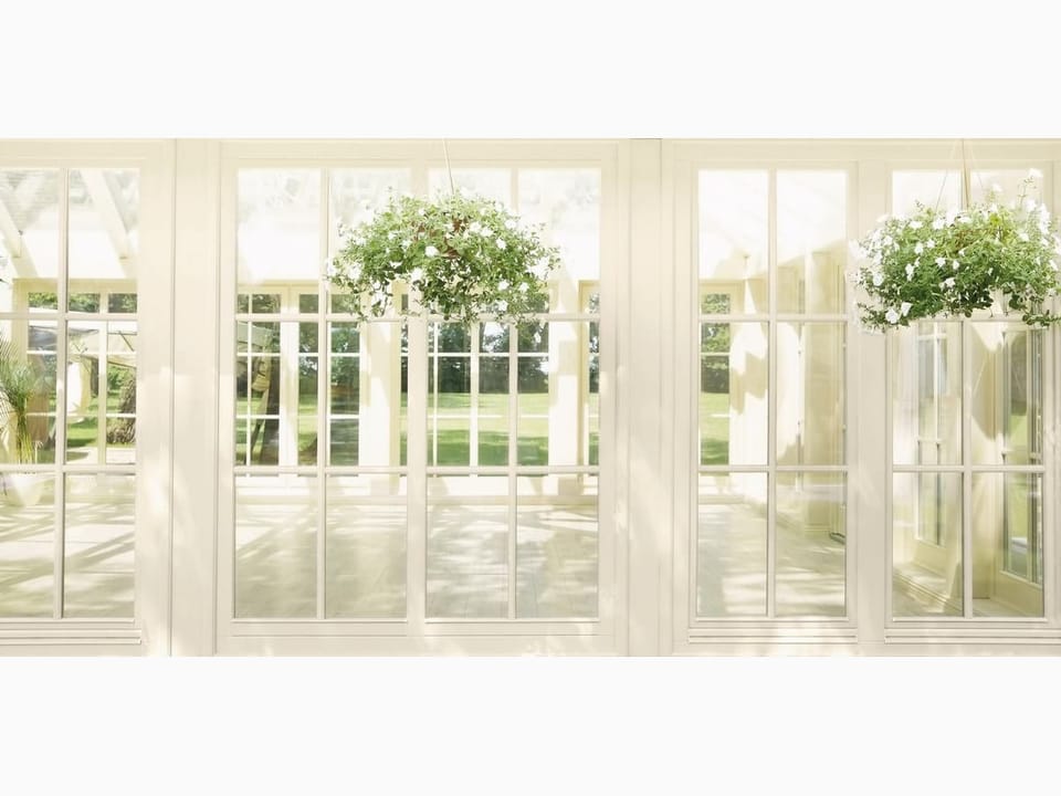 Fototapeta Widok z okna z roślinami