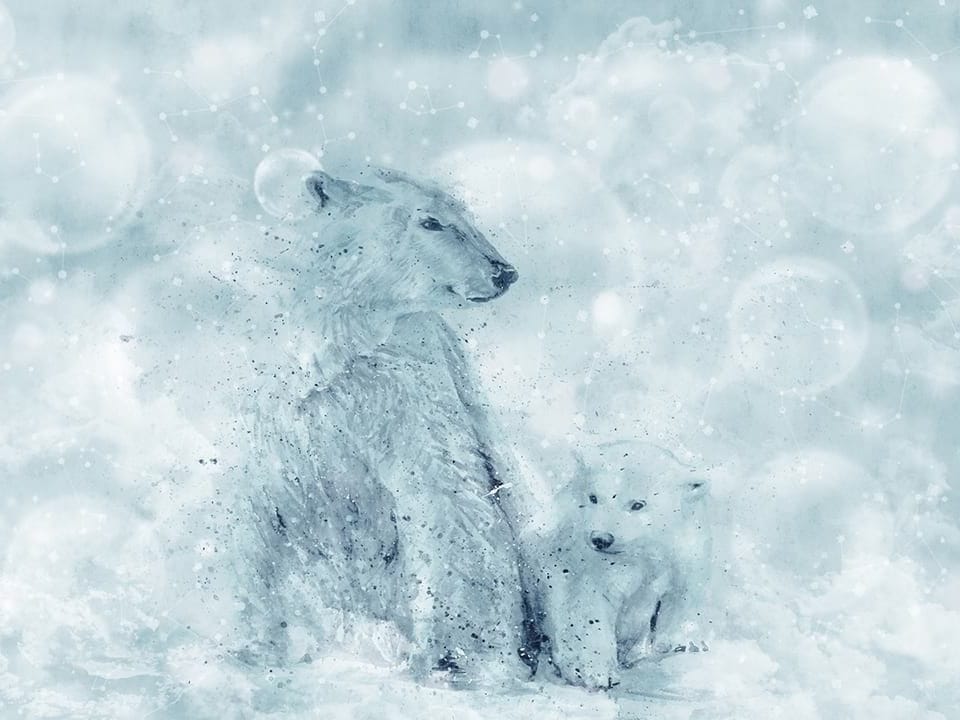 Fototapeta Polarność i Spokój w Śniegu