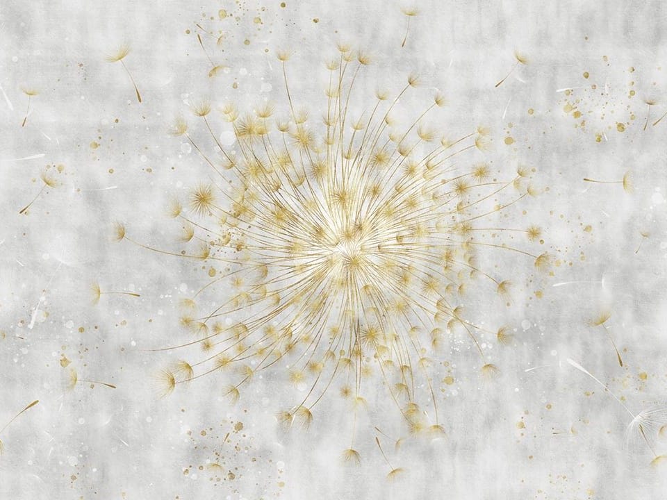 Fototapeta Dmuchawiec na jasnym tle