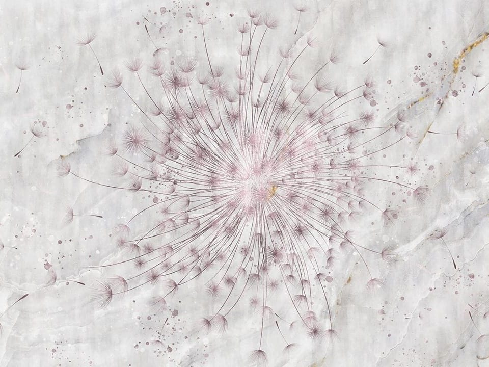 Fototapeta Dmuchawiec na tle marmuru