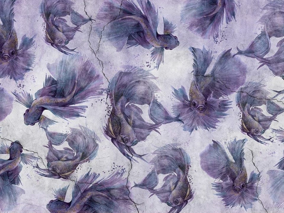 Fototapeta Fioletowe ryby na szarym tle