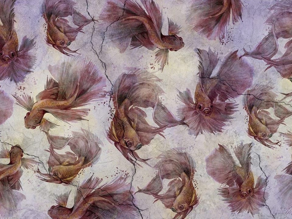 Fototapeta Akwariowe ryby w fioletach