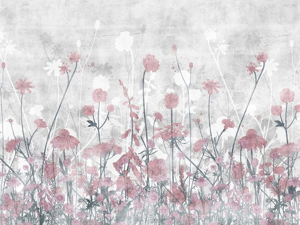 Fototapeta Kwiaty polne na tle szarego nieba