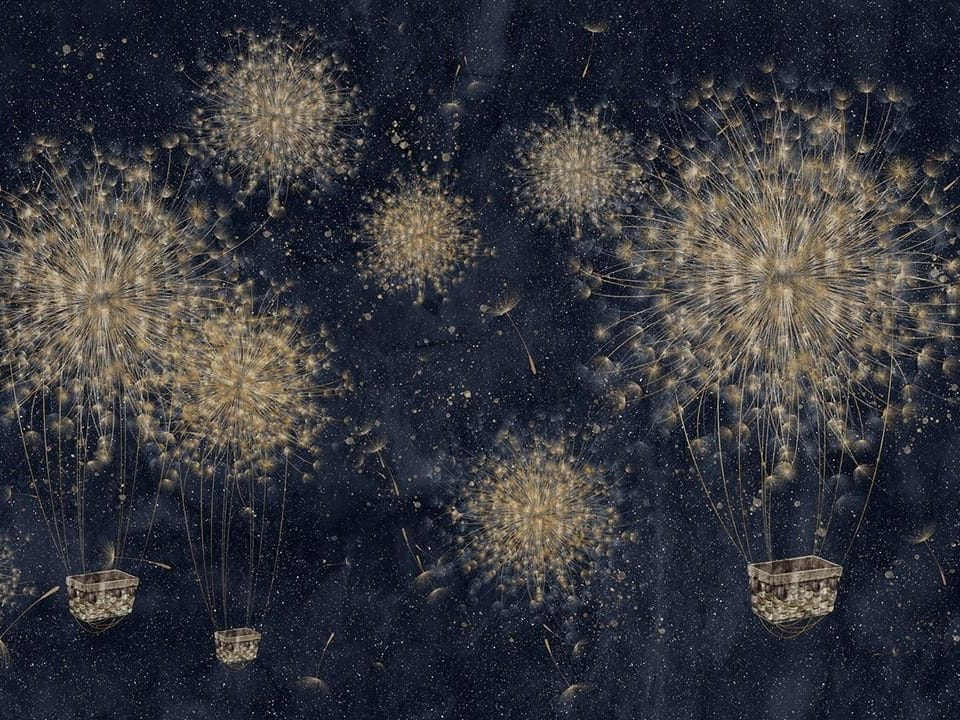 Fototapeta Dmuchawce z Koszami Balonowymi