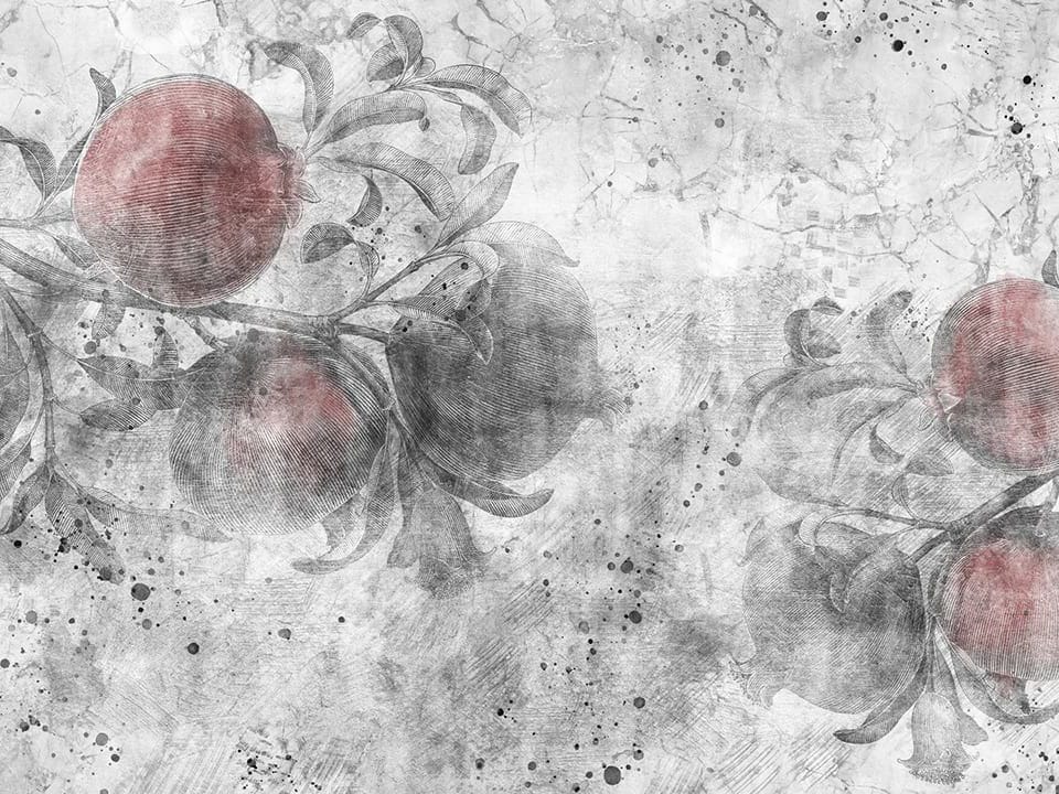 Fototapeta Gałęzie Granatu na Betonie