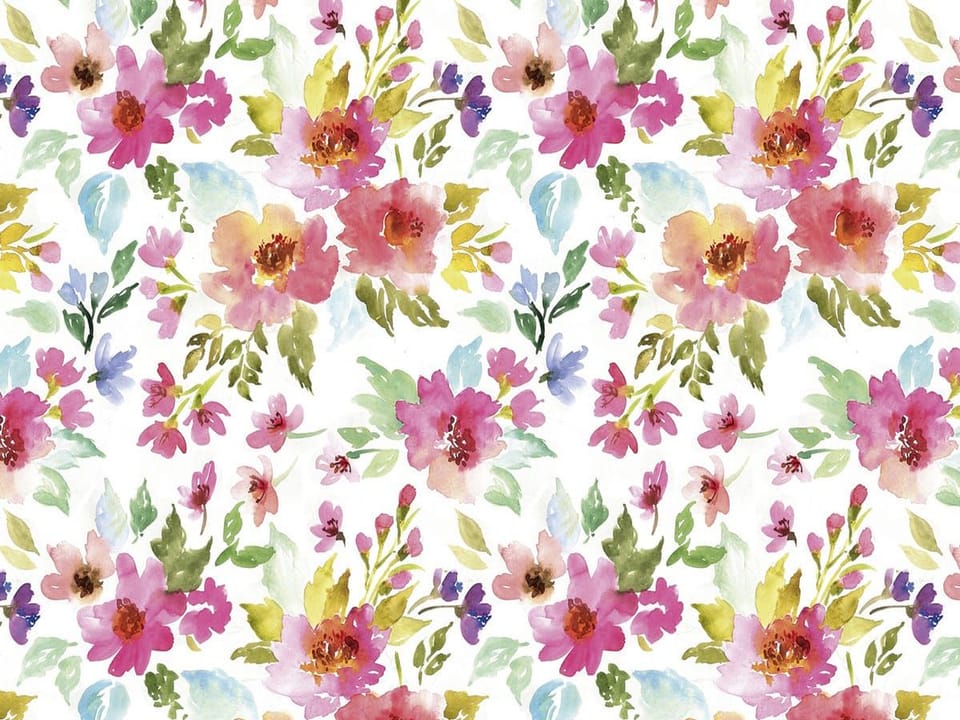 Fototapeta Kolorowe kwiaty na białym tle