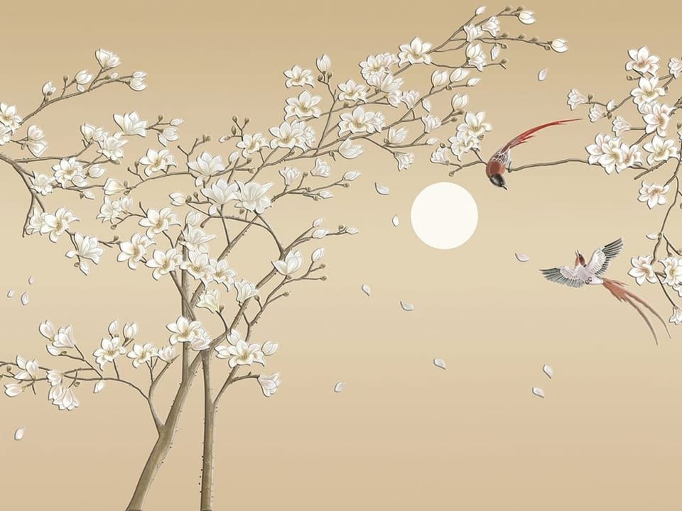 Fototapeta Gałęzie Magnolii i Księżyc