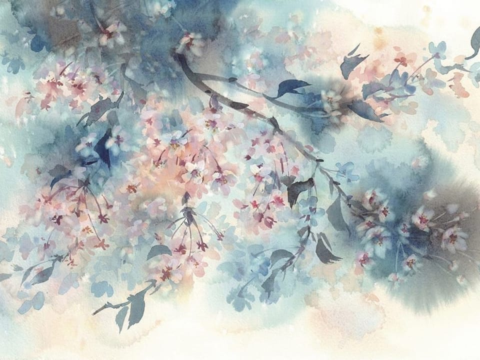 Fototapeta Kwiaty wiśni na pastelowym tle